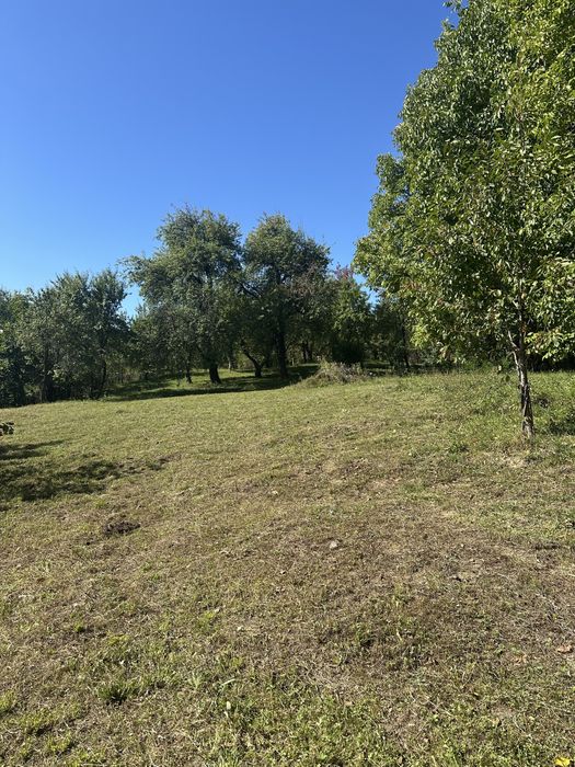 Vand teren intravilan cu casa la Talea