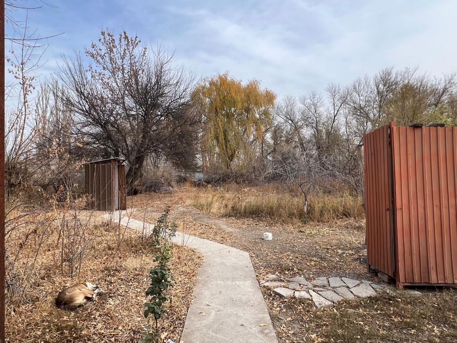 Дом в толе би шу