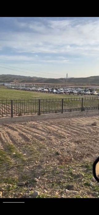 Mol bozori va qoshimcha ferma va tovuqxonalar bir joyda sotiladi.