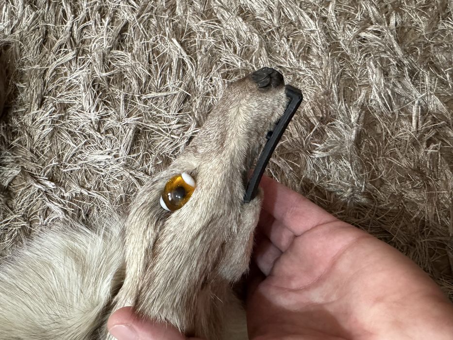 Guler din blana de vulpe polara