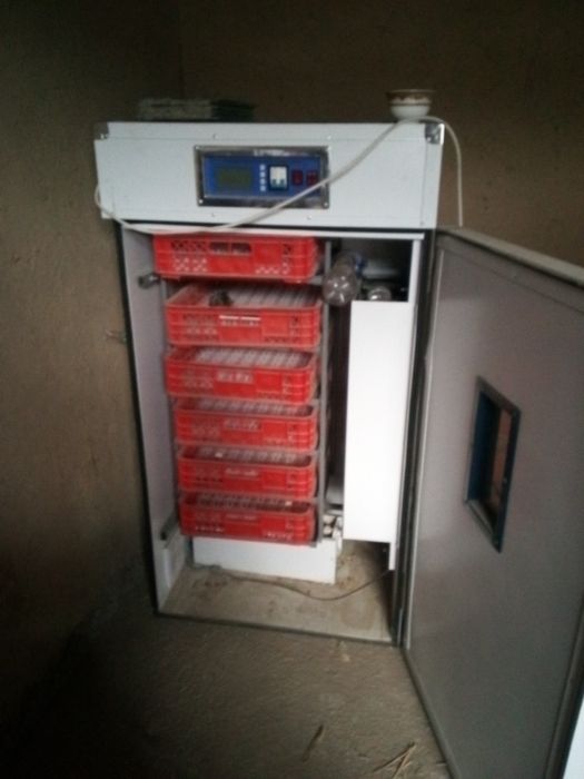 Инкубатор продоется