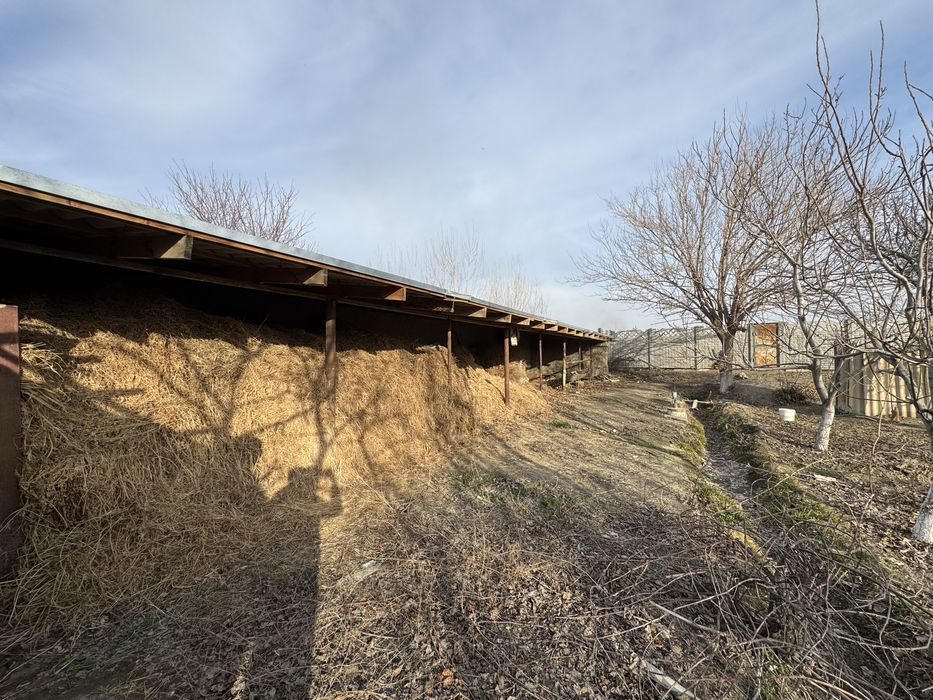 Срочно Навбахор Бешработ йулни екасидан ховли сотилади