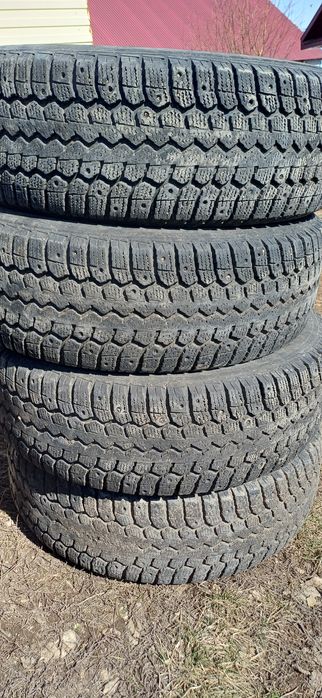 Шина амтел нордмастер ст 310