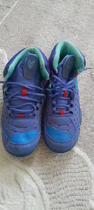 Борцовка rudis очень хорошие