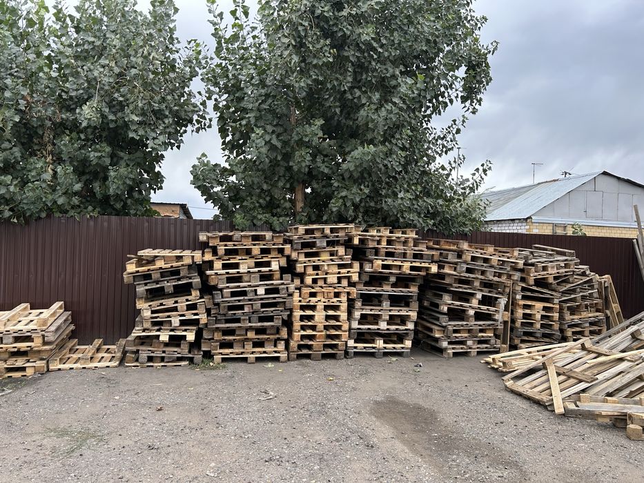 Поддоны 1200тг шт