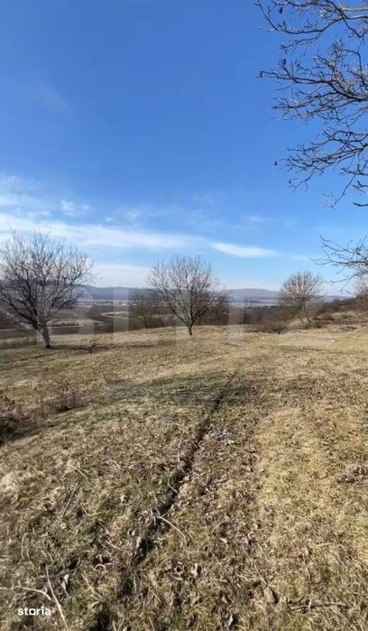 Livada de nuci – 2 ha | Acces DN17 | Investitie profitabila - Cristu