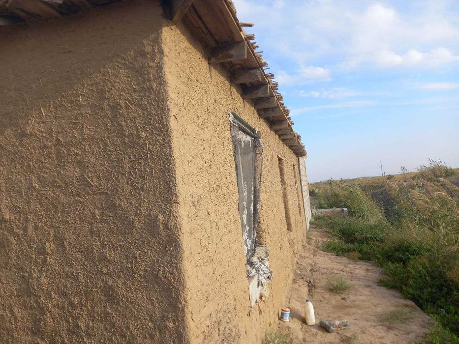 Issiqxona bino-inshoati