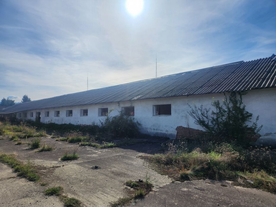 Vând sau Închiriez 2  Hala si teren Rausor Brașov