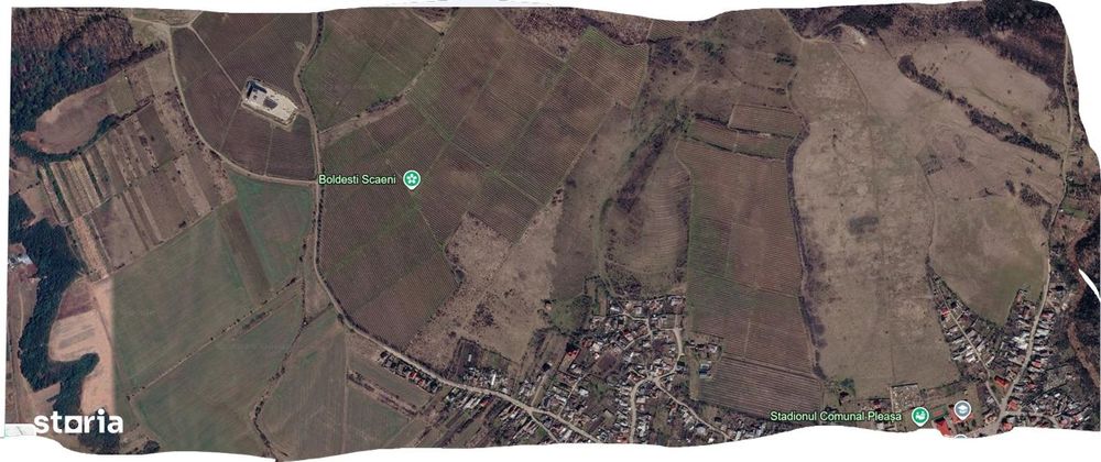 Vie Vanzare Podgoria Dealu-Mare, Boldesti-Scaeni, Prahova - 15,39 ha