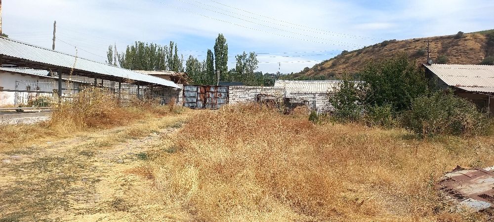 Ferma sotiladi .daca zona