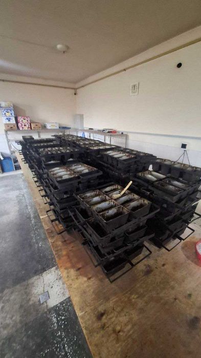 Обородина продаются для хлеба и булочки