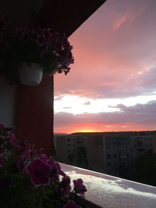 Apartament cu 4 camere
