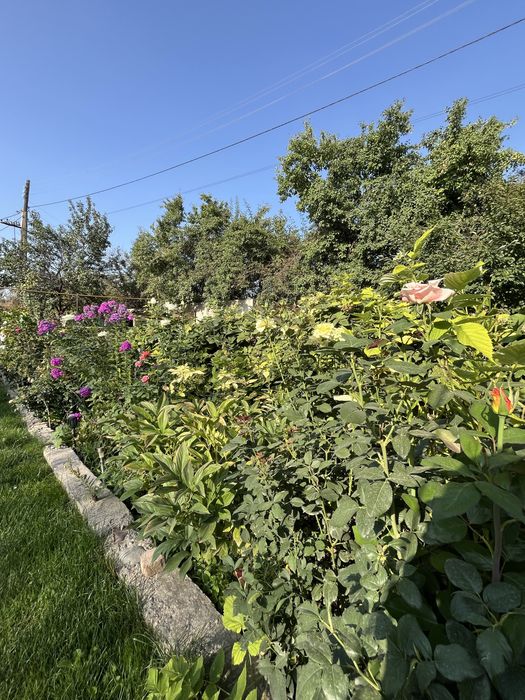 Продам дачу 9 соток