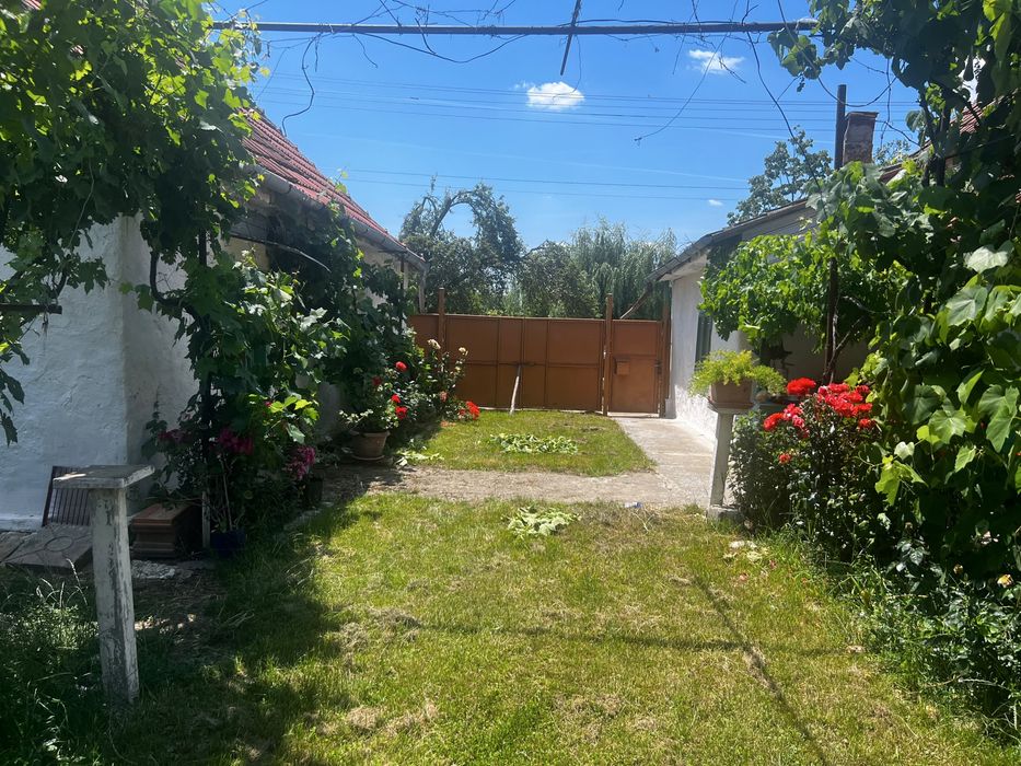 Casă de vânzare cu 2 parcele – Jamu Mare (70 km de Timisoara)