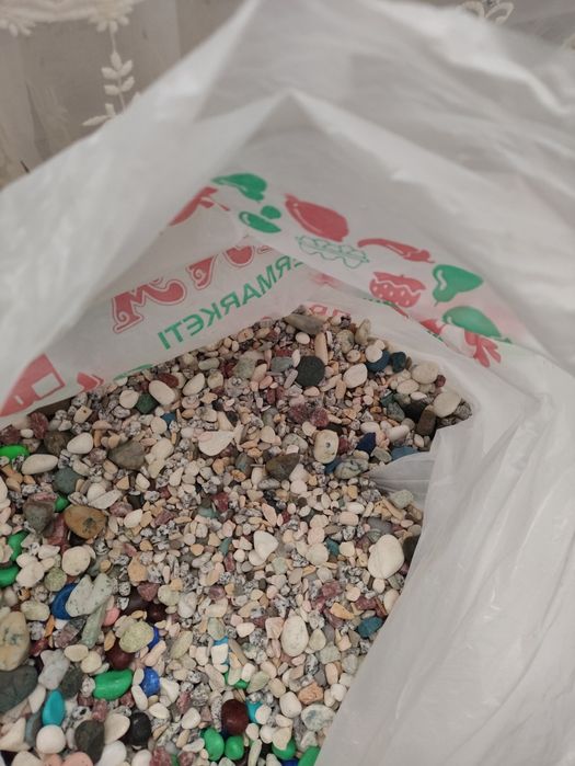 Обменяю на рыбок