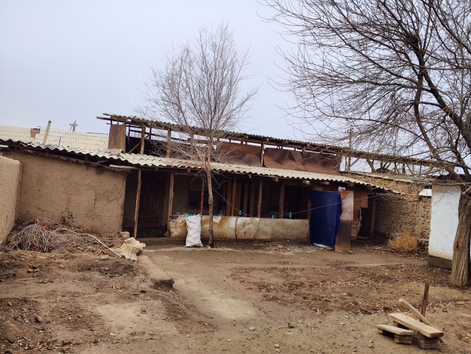 Хожелинин ишинде ЖерЖай сатылады