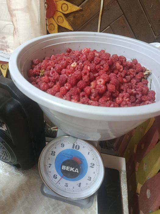 Малина на продажу