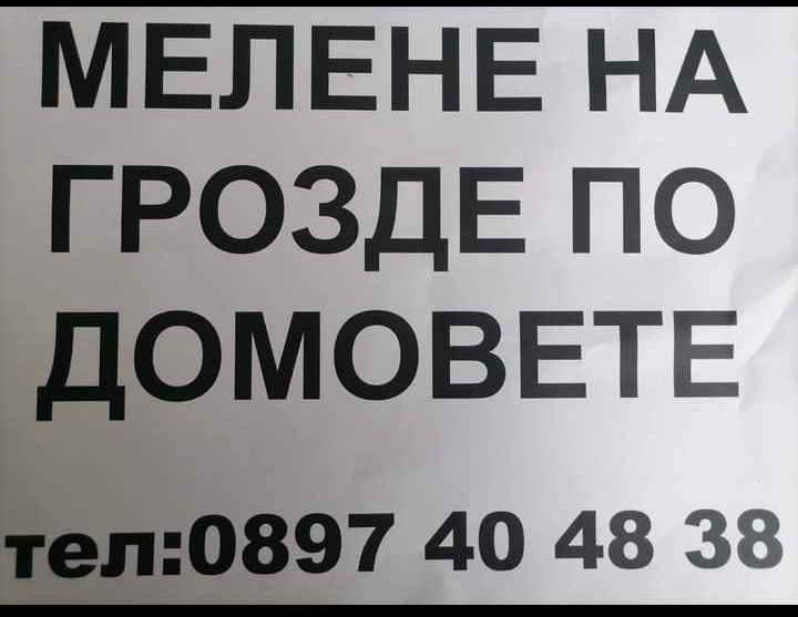 Мелене и продажба на Грозде.Мерло и Каберне