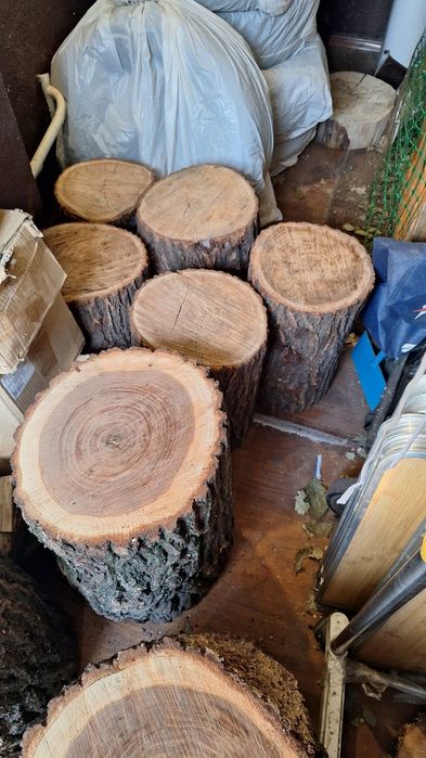 Пеньки для декора