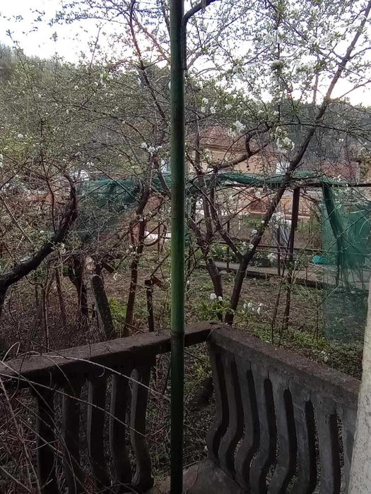 Продава се Къща в Берковица - 90 кв.м за 478 €/кв.м - Снимка #6