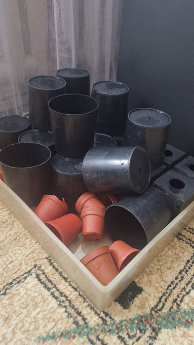 Стаканчики для рассады