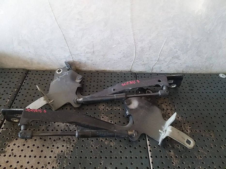 Set balamale cu amortizoare capota renault scenic 3 854000004r 854010004r