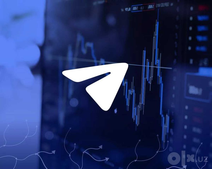 разработка telegram ботов под ключ