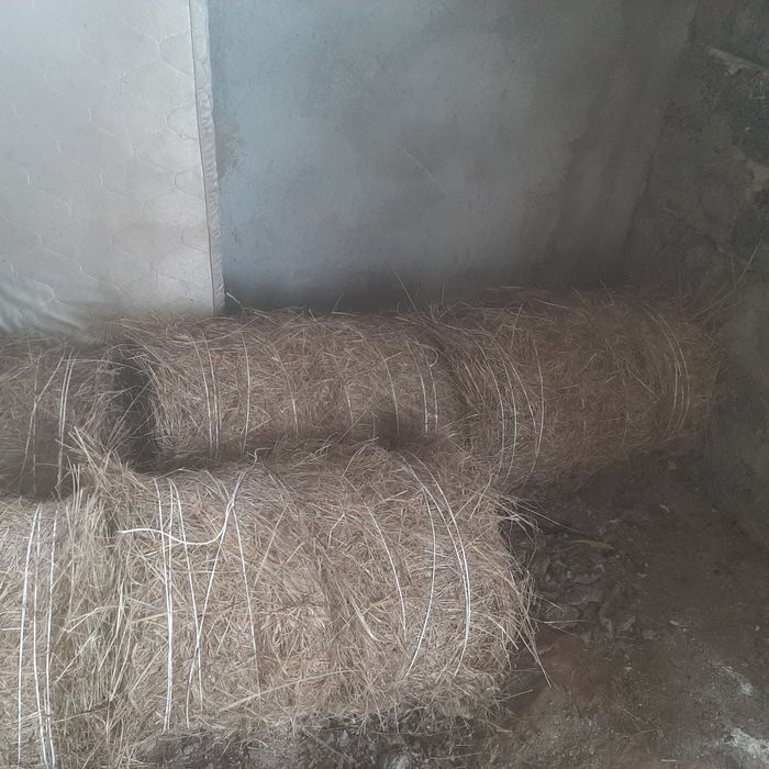 Продамсен в рулонах