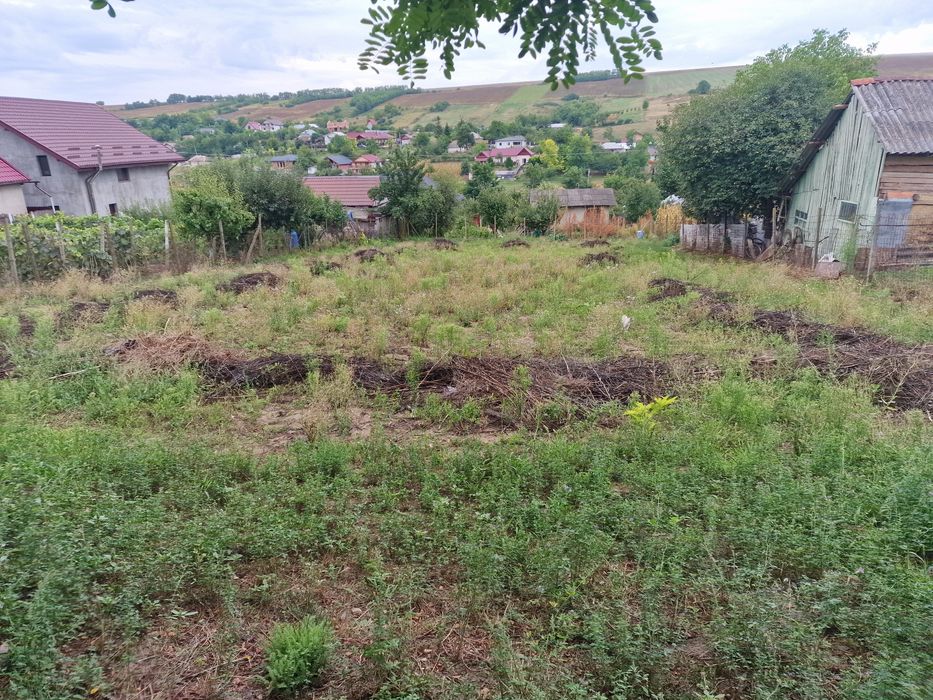 Teren de vânzare vânători