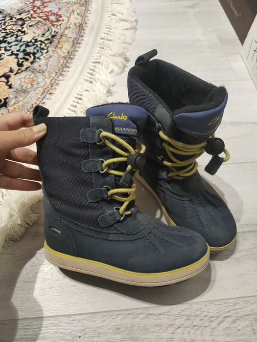 Осенние сапоги на мальчика