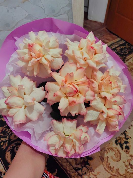 гүл  сатылады свежий