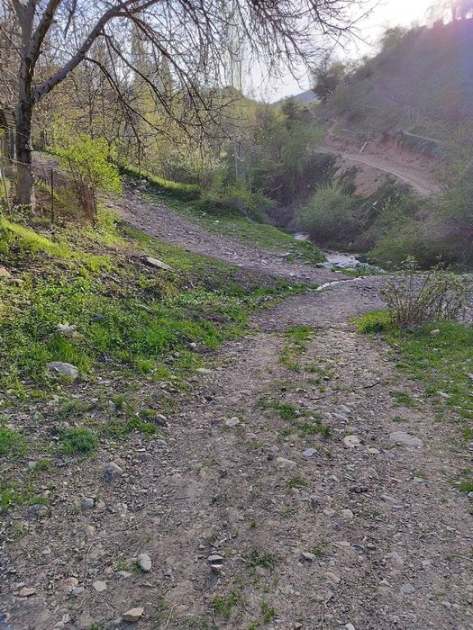 Продается дача 4 сот в горах Чинор