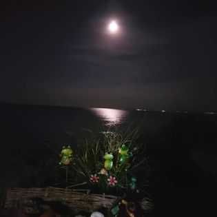 Бунгала на брега на морето