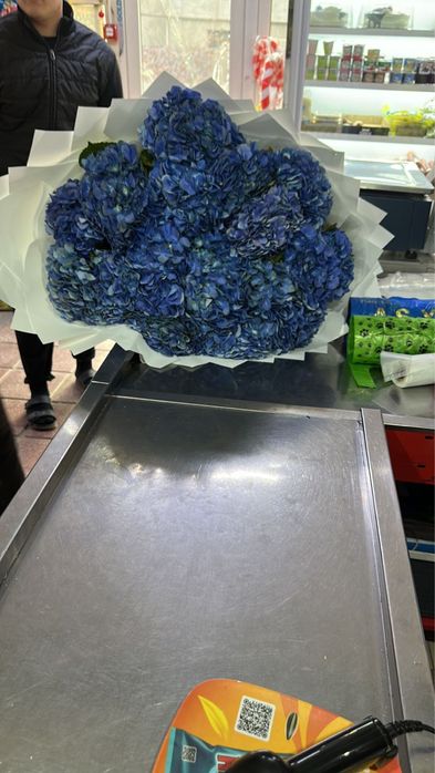 Цветы гортензия