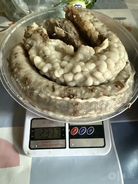 Kalla pocha, tirik qo’ylar