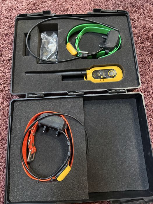 Gps Caini Dogtra Pathfinder 2