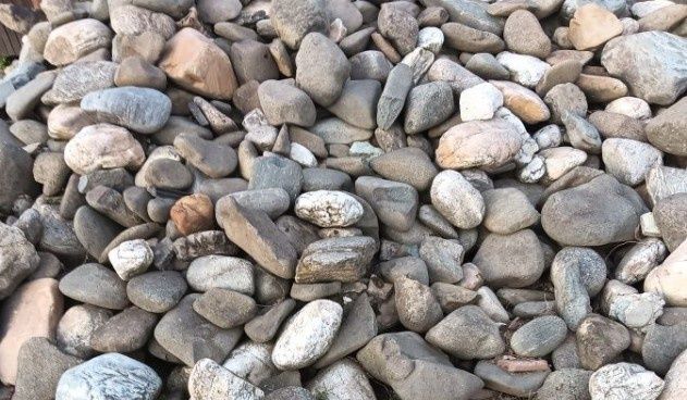 Griblura și piatra de Riu / rau