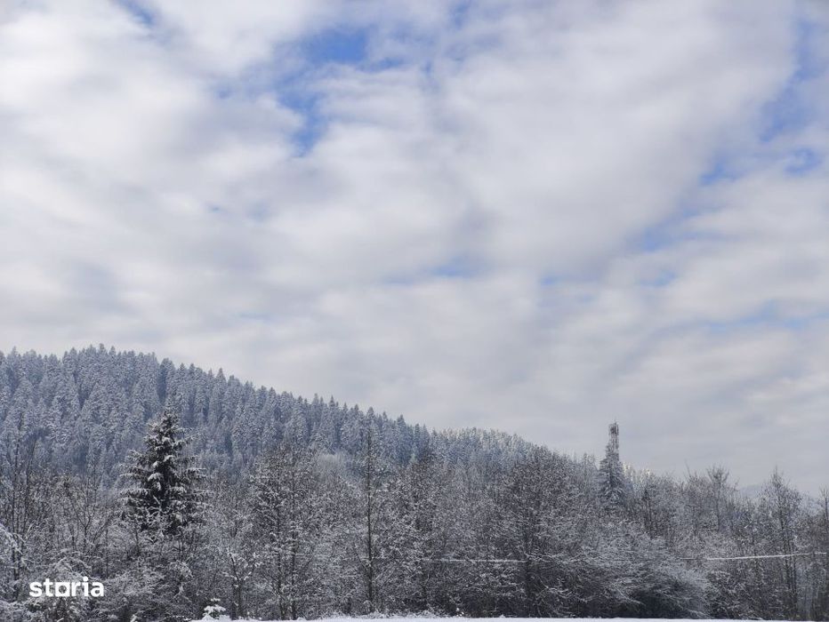 Teren intravilan, 22600mp, zona Manastirea Sucevita