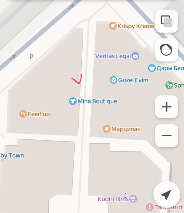 Коммерческое помещение в тц альфраганус