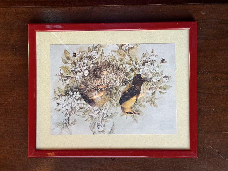 Рамки с картини снимки