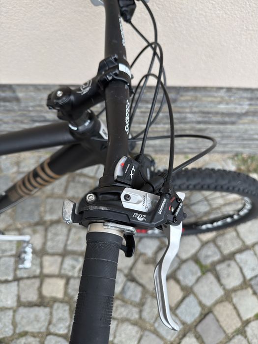 Планински твърдак Rose размер: 26/51см