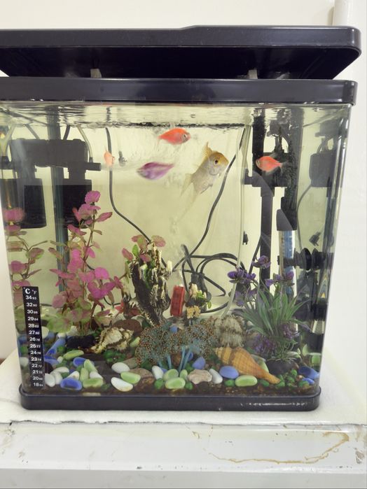 Akvarium 30 litr kitayskiy