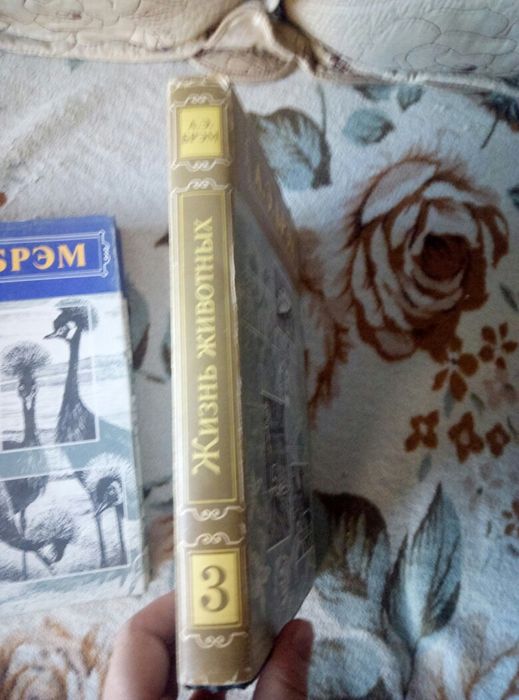 Трехтомник А. Брэма