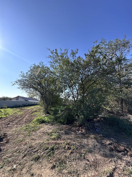 Teren Balotesti Stradal, investitie ideala