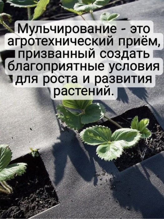 Укрывной материал Спанбонд.