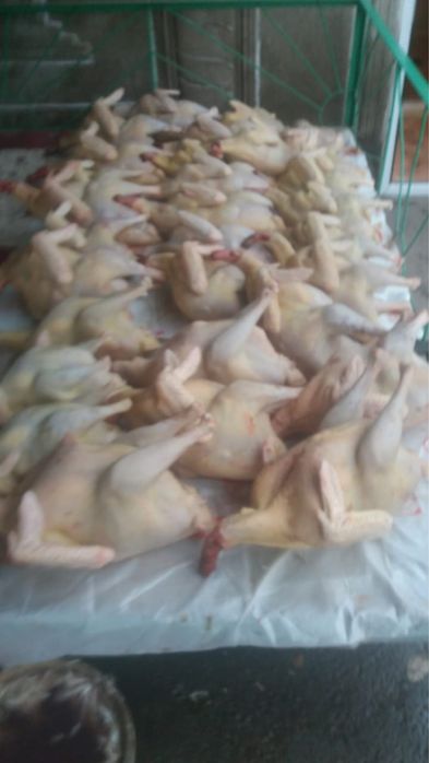 Продажа домашней птицы