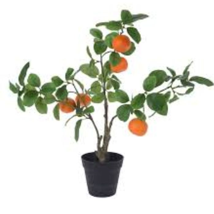 Lucruri pentru gradina