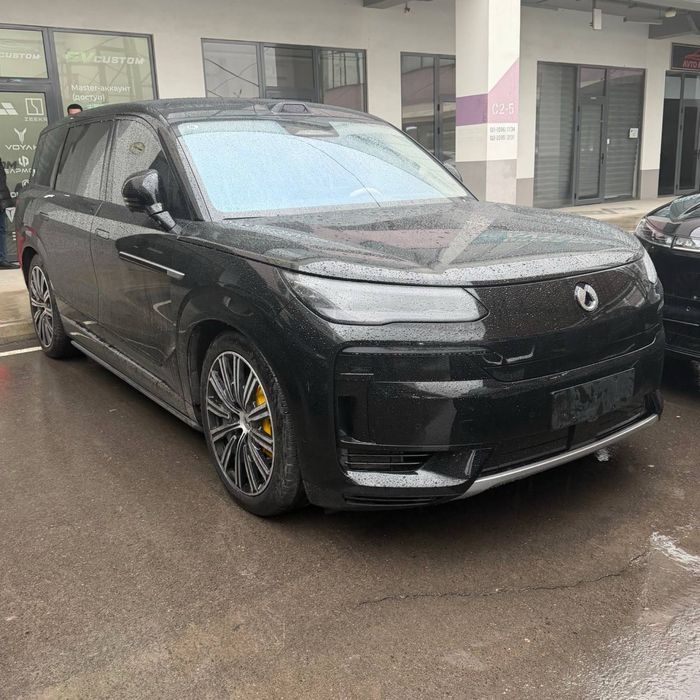 Denza n9 full pozotsiya