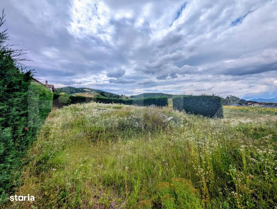Teren intravilan, 478 mp, zona Micesti - partea cu padurea