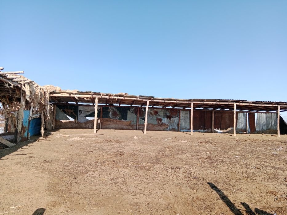 Фазенда сатылады 2000 га